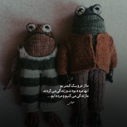 ناز دج ناسیل تاتلی گوزلر آکلیم آلدی سوزلر یالان اولماز گوزلر